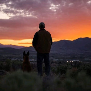 Dog Training: A Handler's Guide to Working Effectively With Your Dog