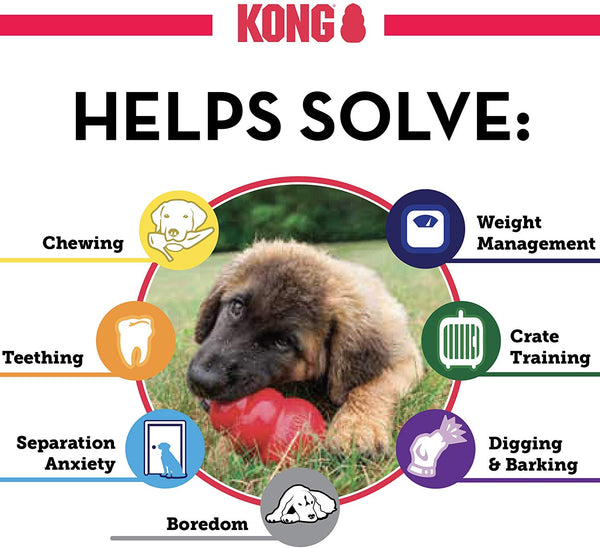 KONG - Classic Dog Toy