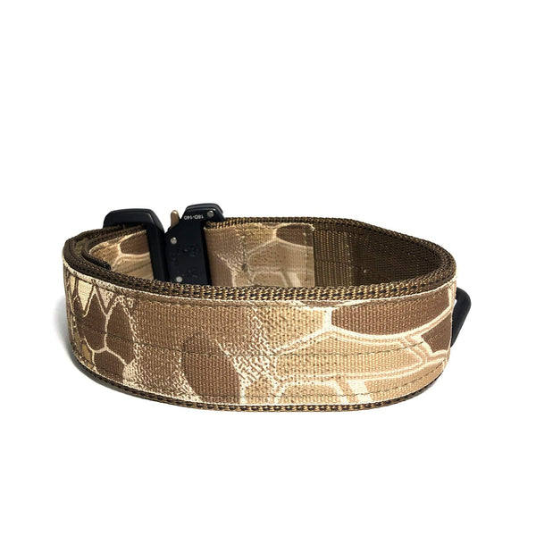 1.75" RS Accent Tactical Collar with Custom Embroidery