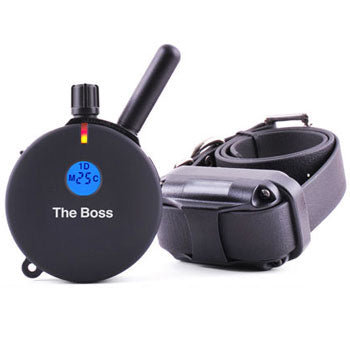 ET-800 "THE BOSS" E-Collar