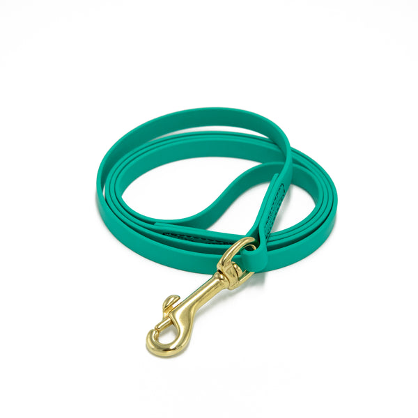 1/2" BioThane Dog Leash