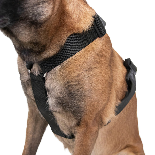 Ruff Swag Adult Dog Harness