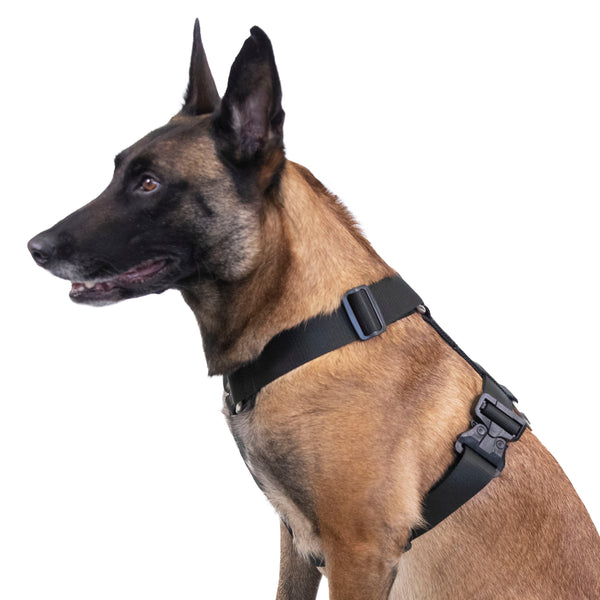 Ruff Swag Adult Dog Harness