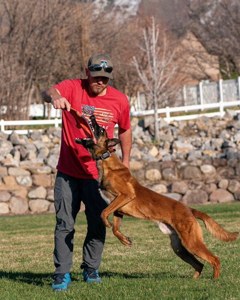 Chuckit! Flying Squirrel Frisbee