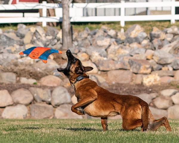 Chuckit! Flying Squirrel Frisbee