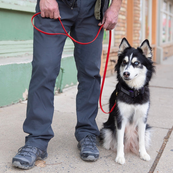 1/2" BioThane Dog Leash